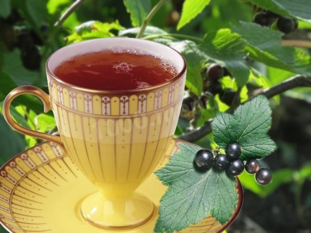 Currant leaf tea