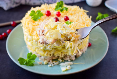 Men's caprice salad with chicken