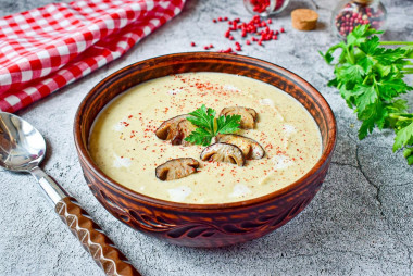 Mushroom soup puree of porcini mushrooms with cream