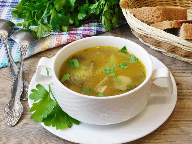 Fresh porcini mushroom soup