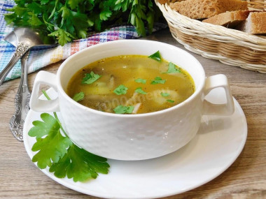 Fresh porcini mushroom soup