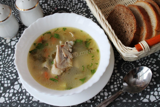 Chicken soup with oatmeal