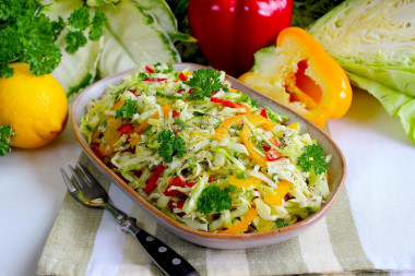 Cabbage salad cucumber bell pepper