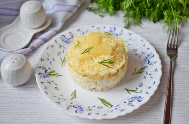 Salad with canned pineapple and chicken