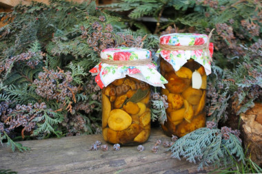 Mushrooms for winter without sterilization