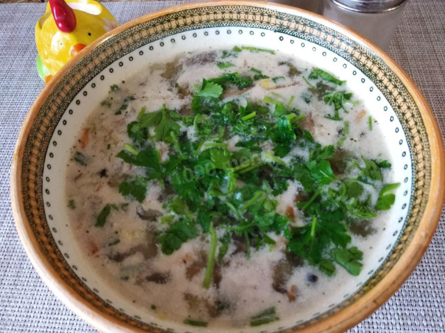 Soup with Peking cabbage and champignons