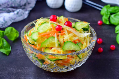 Salad of fresh cabbage carrots and cucumbers