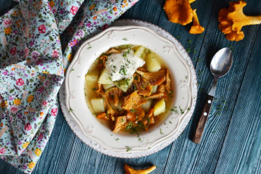 Fresh chanterelle soup