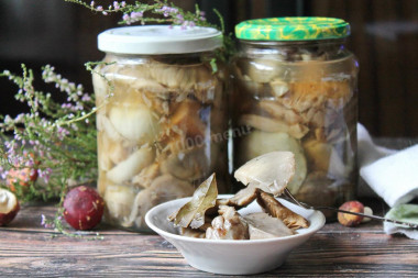 Pickled cheese for winter