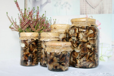 Pickled honey mushrooms in jars for the winter