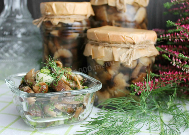 Pickled honey mushrooms in jars for the winter