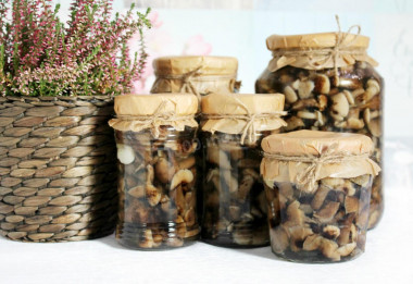 Pickled honey mushrooms in jars for the winter