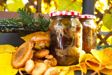 Fried honey mushrooms for winter