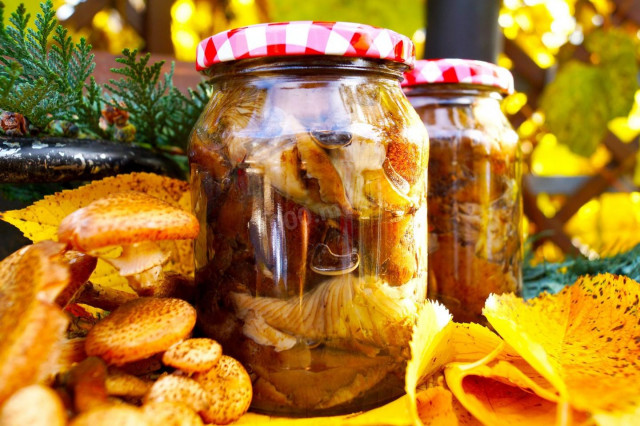 Fried honey mushrooms for winter