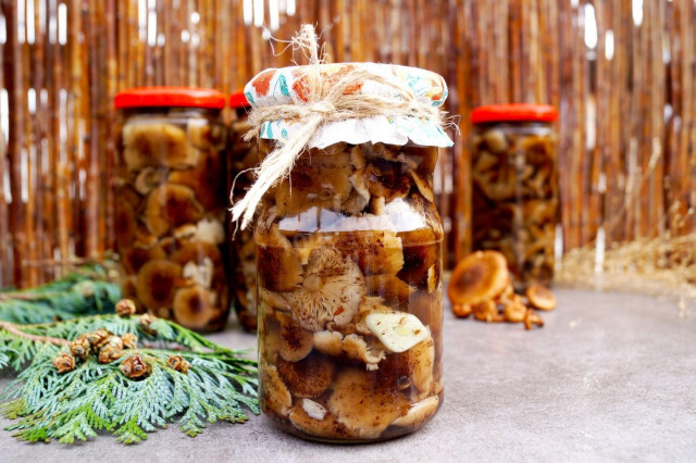 Pickled honey mushrooms with dill for winter