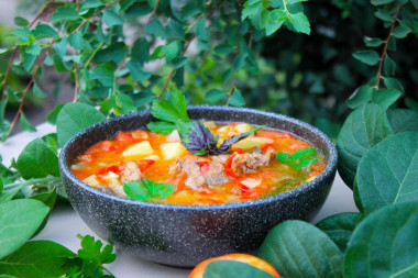 Thick soup of homemade duck with vegetables on a campfire