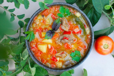 Thick soup of homemade duck with vegetables on a campfire