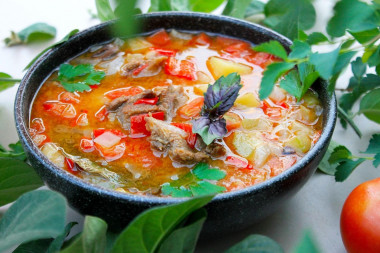 Thick soup of homemade duck with vegetables on a campfire