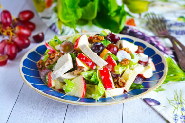 Classic Waldorf salad with celery, apple and chicken