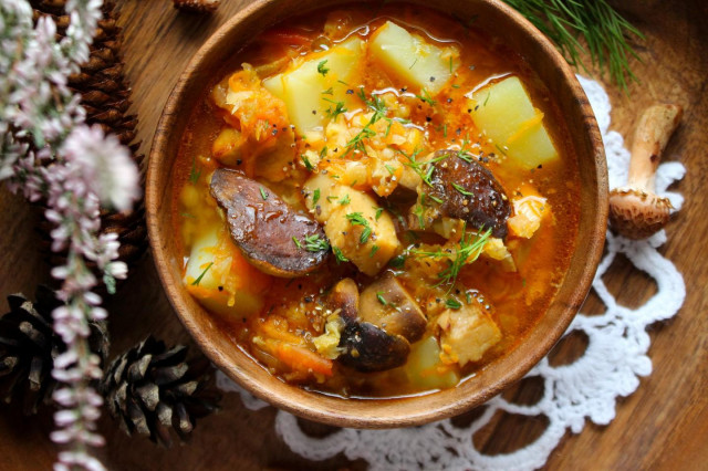 Red lentil and wild mushroom soup