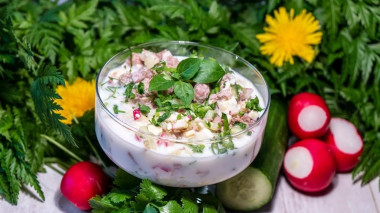 Okroshka with radish and cucumber on kefir