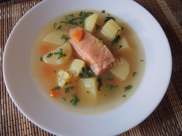 Fish soup of red fish ear with coriander