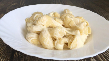 Pasta with mozzarella cheese in cream sauce