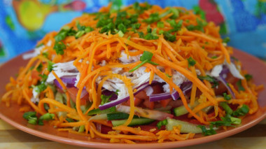 Oriental vegetable salad with chicken breast