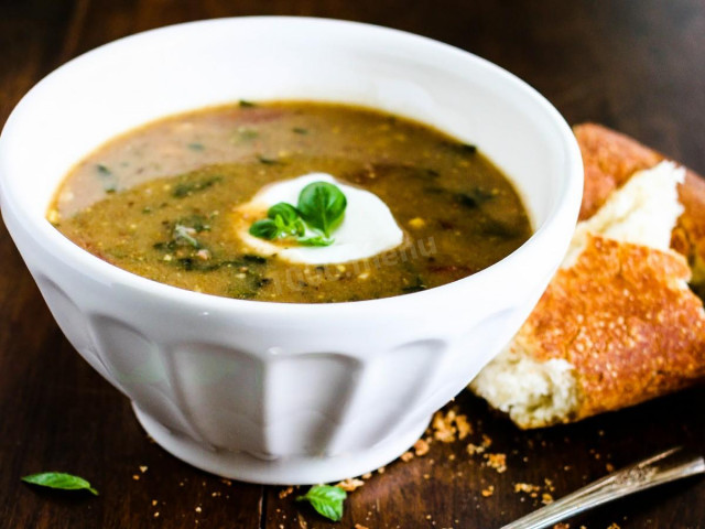 Soup with turtle meat, vegetables and fragrant herbs