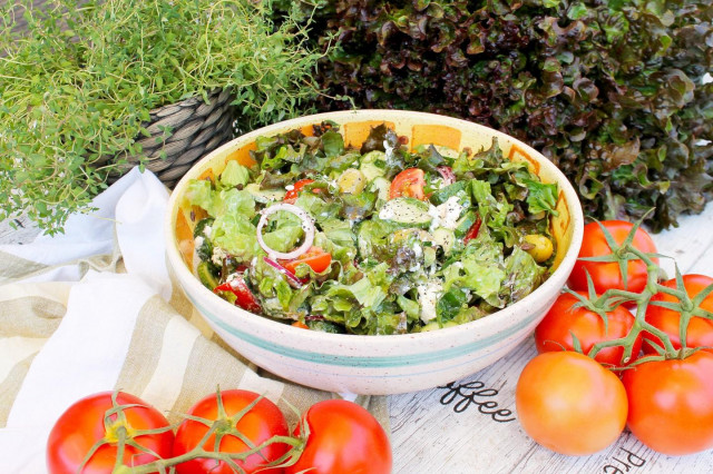 Salad with cottage cheese, tomatoes and herbs