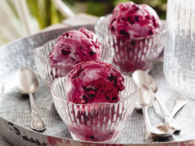 Ice cream without cream in the ice cream maker