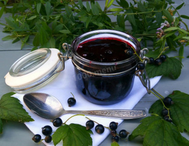 blackcurrant mashed with sugar without cooking for winter