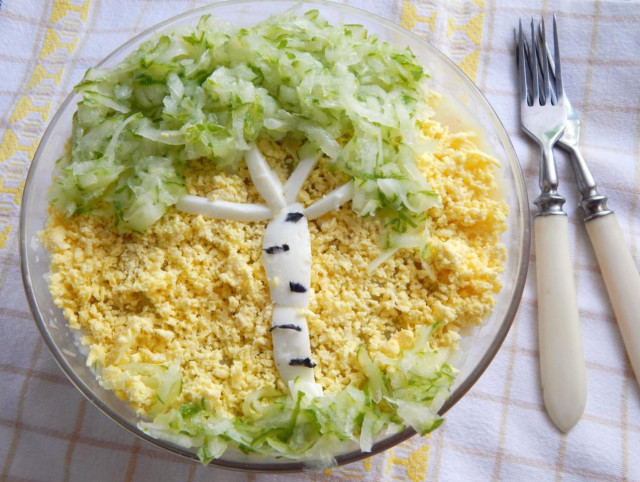 Birch salad with fresh cucumber and chicken