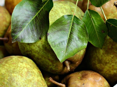 Pears in syrup in 3-liter jars for winter