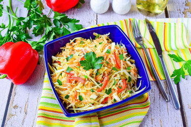 Vitamin salad of cabbage and carrots