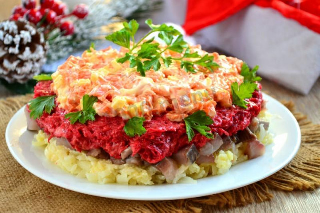 Obsession salad with herring