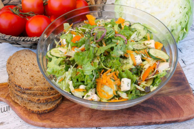 Salad with young cabbage, Mozzarella cheese and vegetables