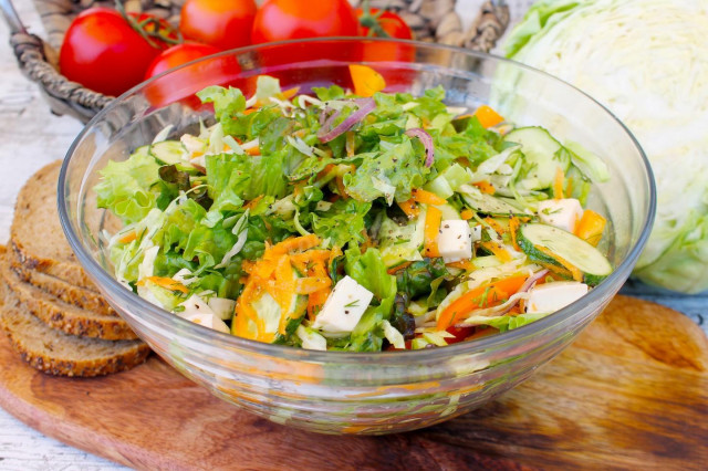 Salad with young cabbage, Mozzarella cheese and vegetables