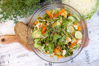 Salad with young cabbage, Mozzarella cheese and vegetables