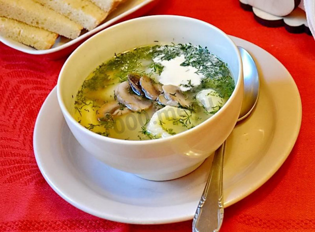 Mushroom soup in meat broth