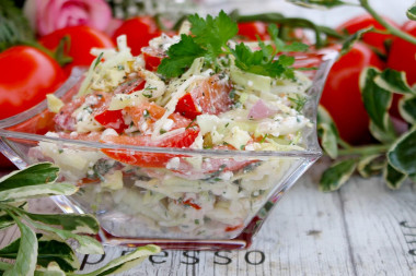 Salad of young cabbage with tomatoes and cottage cheese.