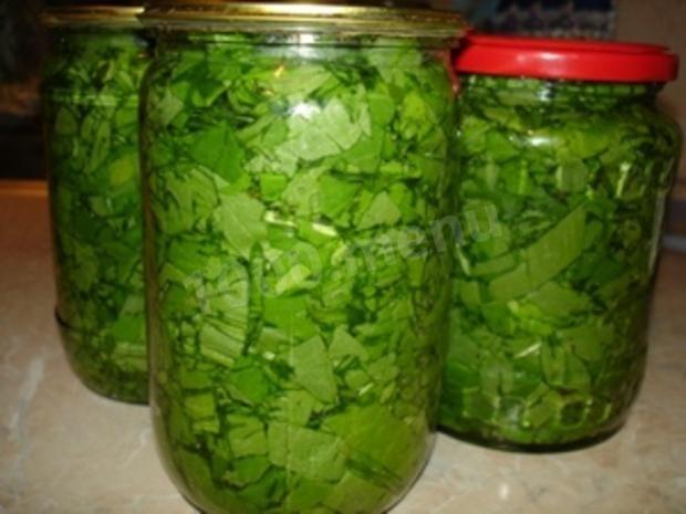 Sorrel preparations preserved for winter