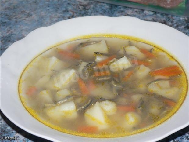 Snetkov soup