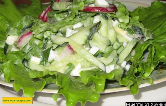 Spring radish salad with egg and cucumber