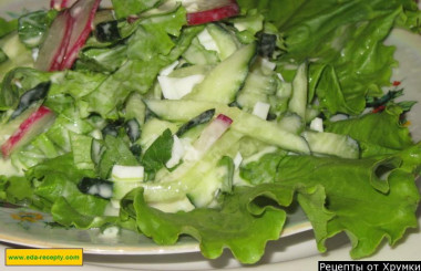 Spring radish salad with egg and cucumber