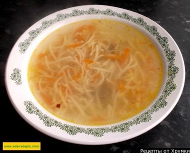 Soup with homemade noodles