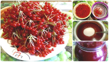 Viburnum with sugar in a blender