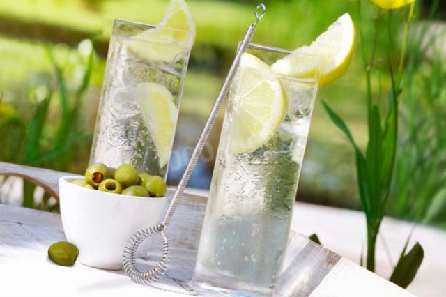 Gin and tonic cocktail