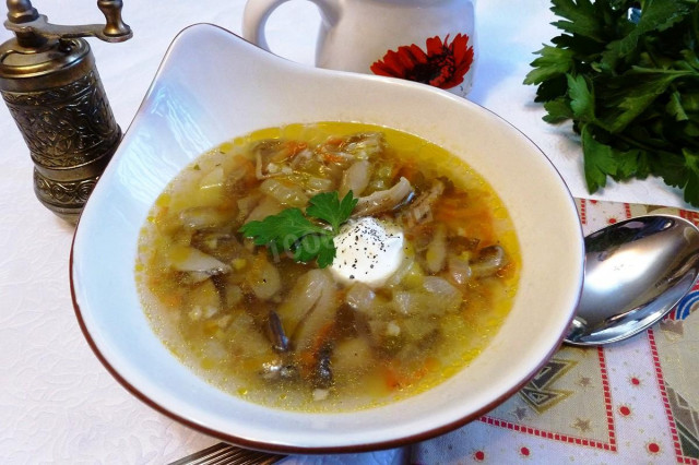 Mushroom soup with bitters and oyster mushrooms