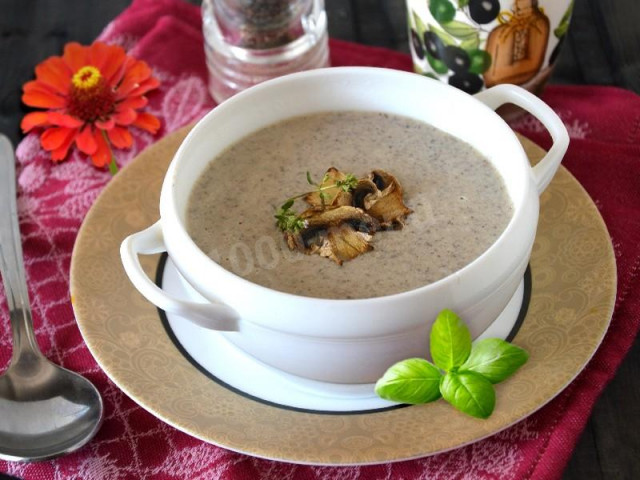 Cream mushroom soup with cheese